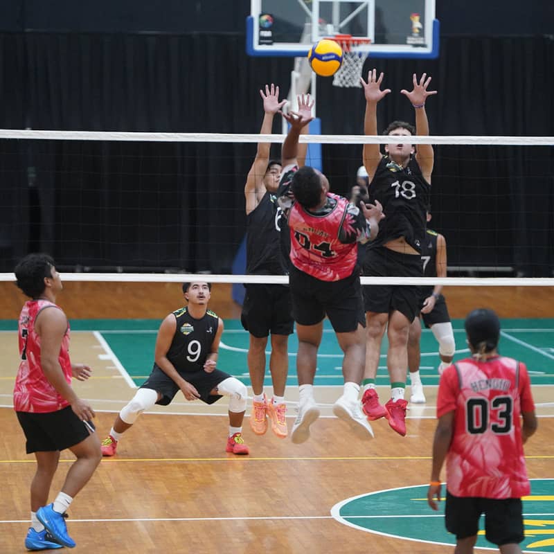 Men Playing Volleyball
