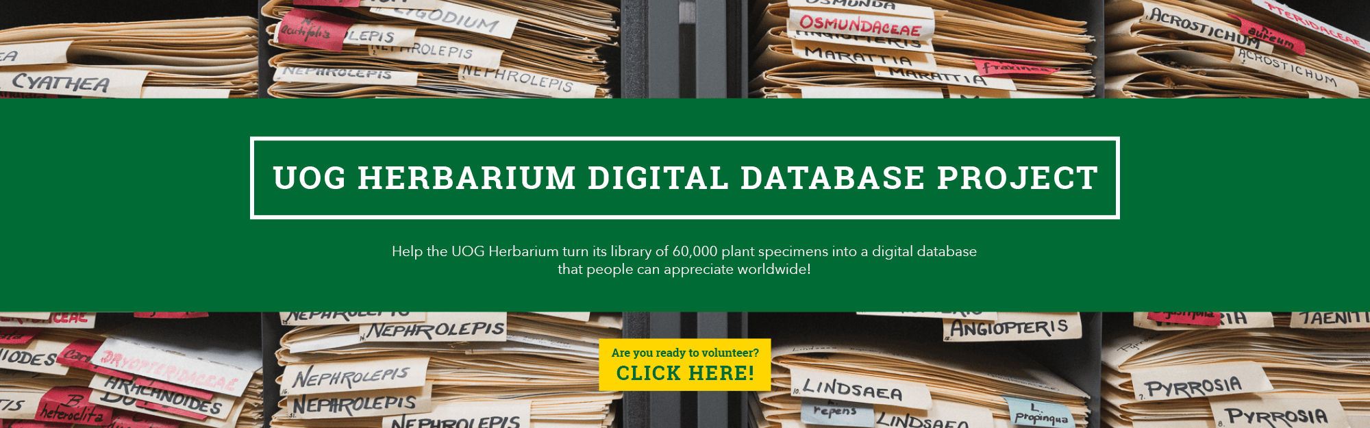UOG Herbarium Digital Database Project