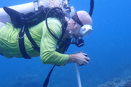 Sea Grant researcher explores watershed-to-reef stressors and fish impacts 