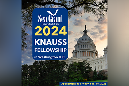 National Knauss fellowship open for applicants
