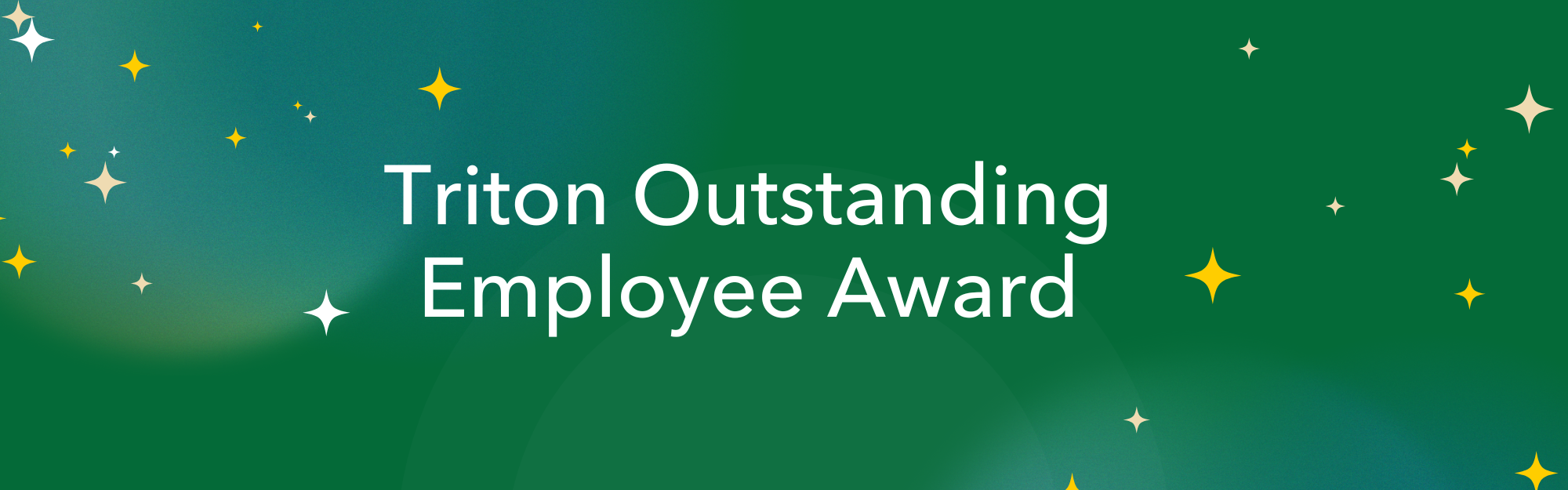 Triton Outstanding Employee Award