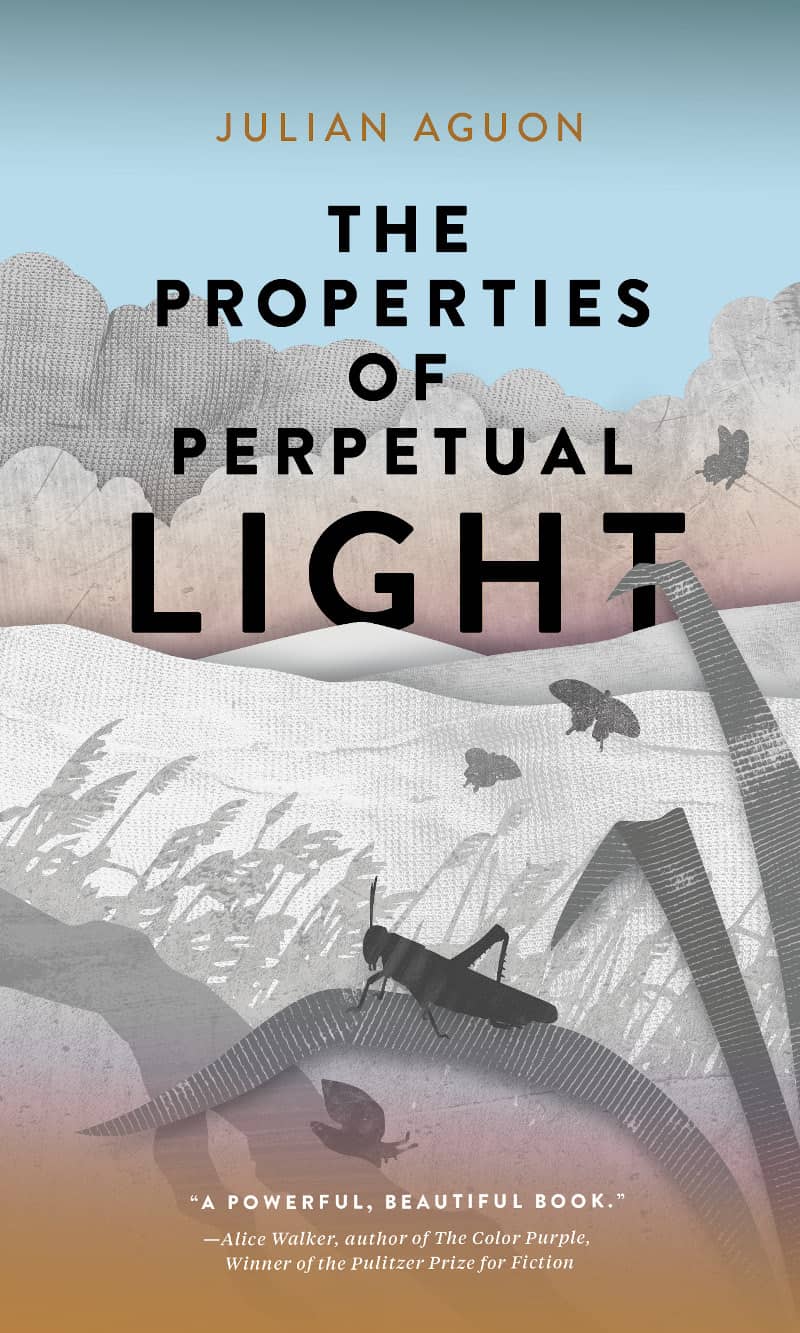 Cover of The Properties of Perpetual Light