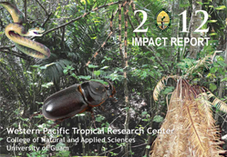 2012 Impact Report Cover