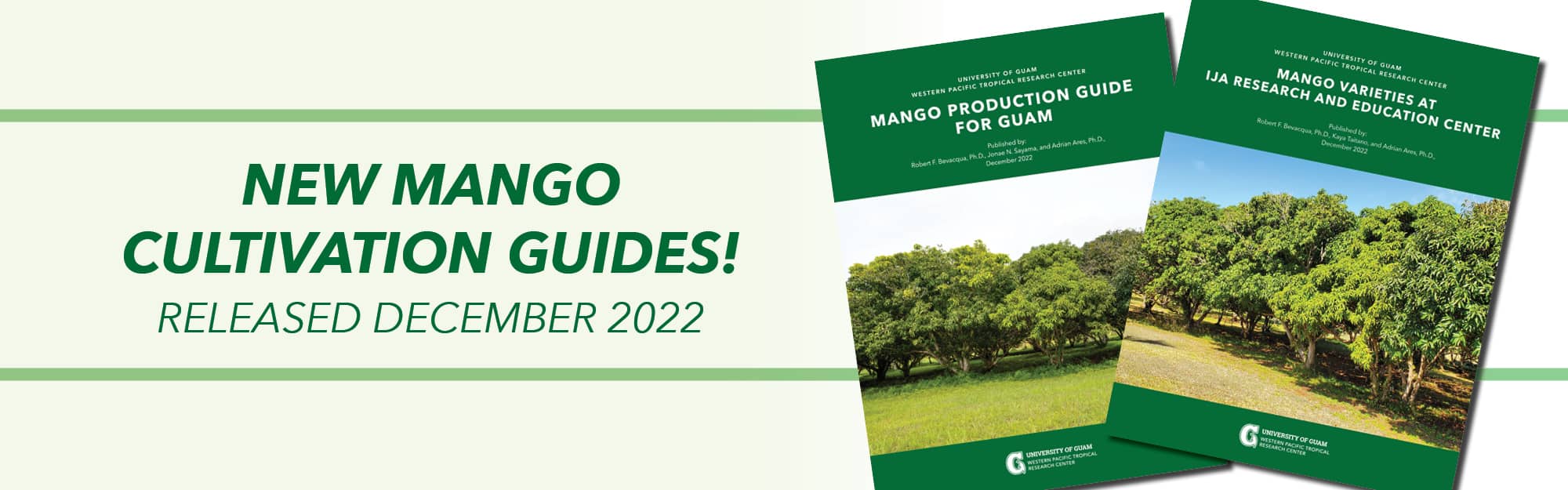 Banner linking to newly released mango cultivation guides