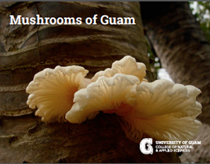 Thumbnail of Mushrooms e-book