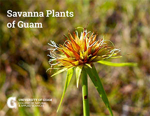 Savanna Plants