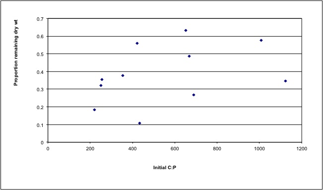 Leaf Carbon to Phosphoros