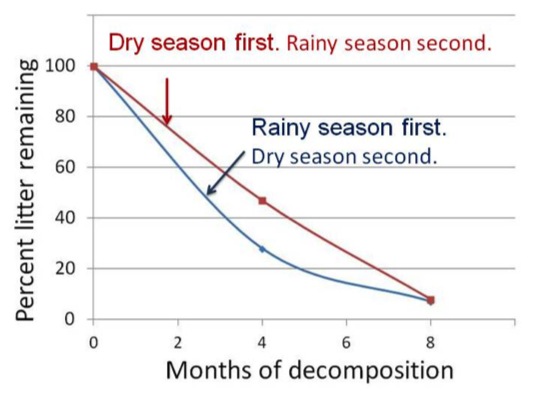 Leaf seasonal Graph