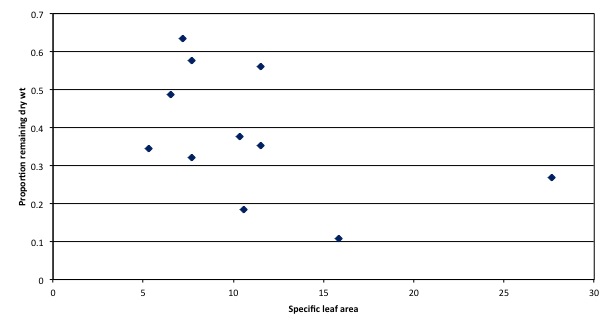 Leaf specific Area