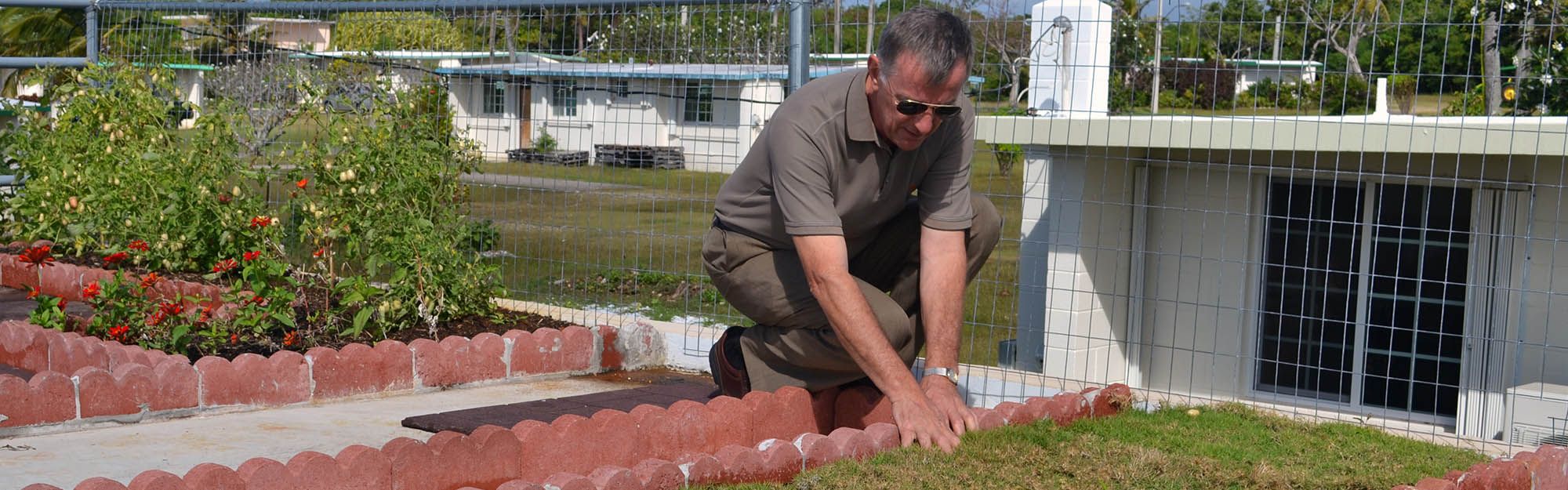 Dr. Greg Wiecko checks the quality of turfgrass grown on a rooftop.