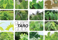 Taro Guide